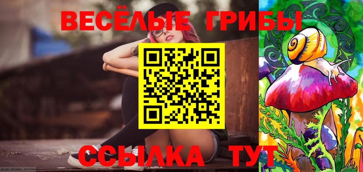Галлюциногенные грибы прущие грибы Саров