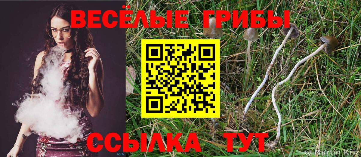 Канабис  Вход с VPN  Саров  Меф МЯУ МЯУ кристаллы  Кодеин  ГАШ  Гашиш  A PVP СК   КОКАИН 