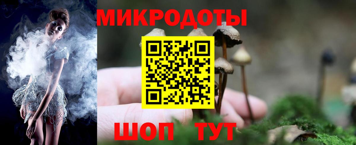 Псилоцибиновые грибы Cubensis  Псилоцибиновые грибы Cubensis  Саров  Вход с VPN 