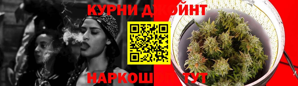 APVP Саров